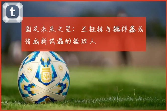 国足未来之星：王钰栋与魏祥鑫或将成新武磊的接班人